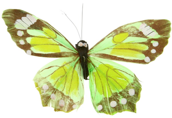 butterfly 1310 (4.0Х2.7)